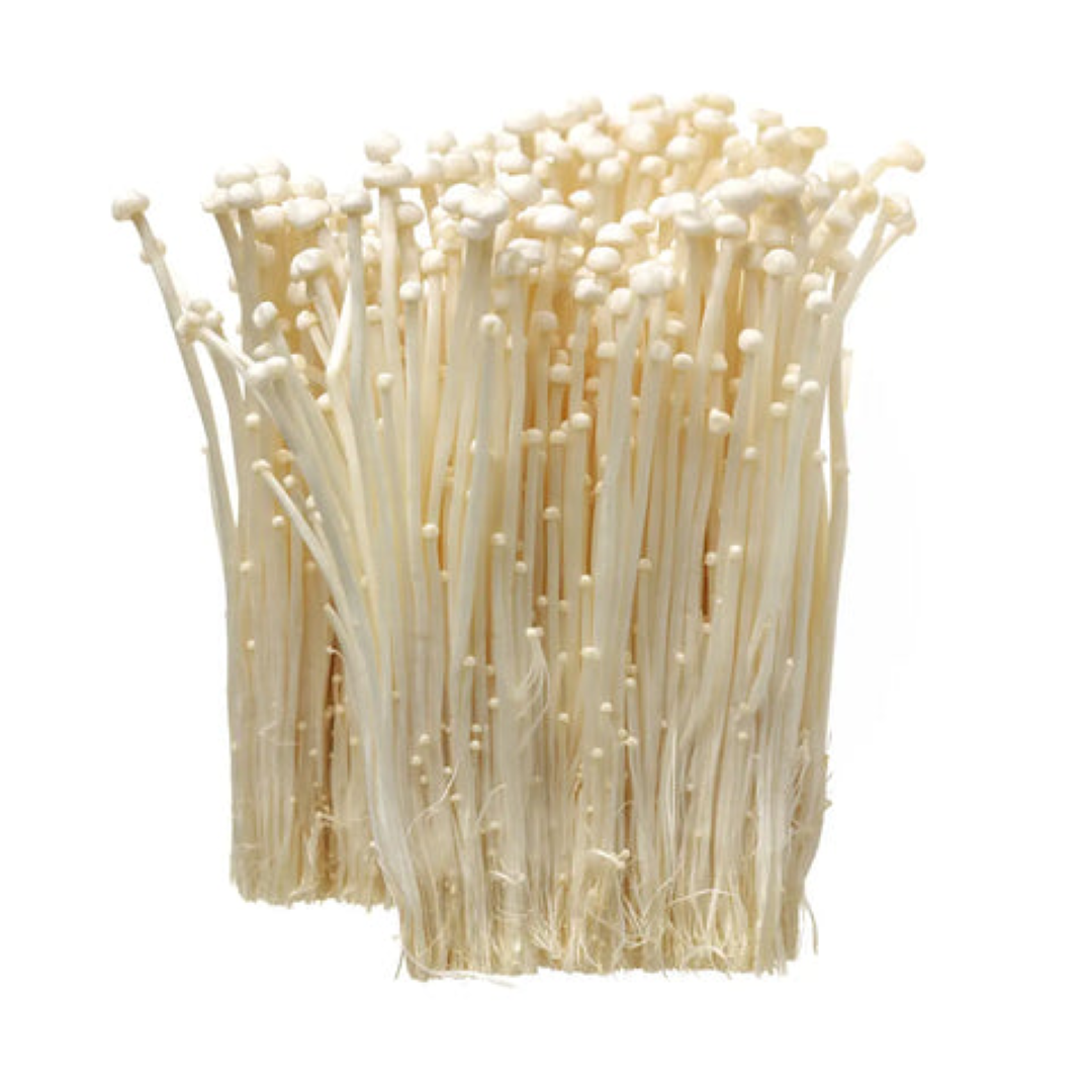 Y22 ENOKI PKT